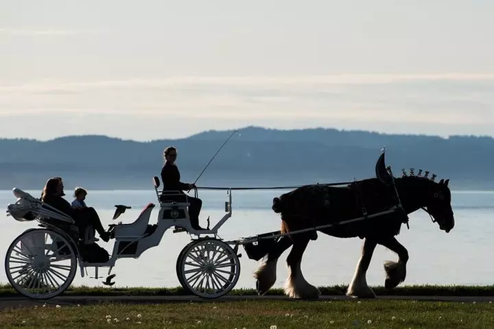 Grand Horse-Drawn Carriage Tour of Victoria - Primary Image