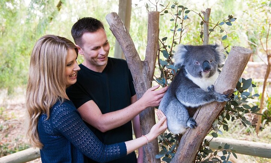 Image 5: Cleland Wildlife Park Experience - from Adelaide including Mt Lofty...