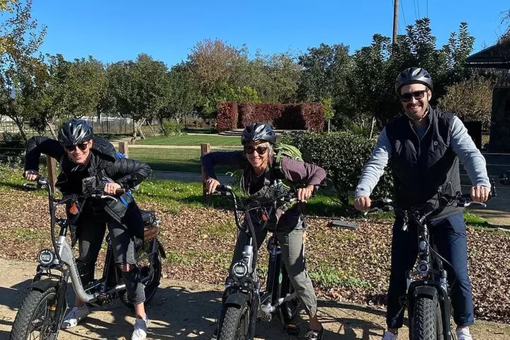 Full Day E-Bike Rental
