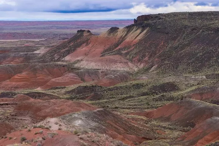 Petrified Forest National Park Self-Guided Driving Audio Tour