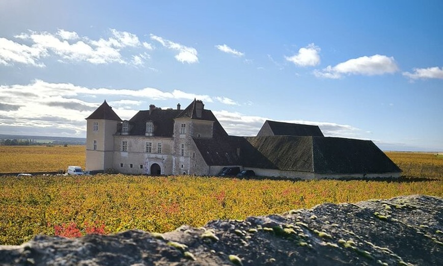 Image 4: Excursion privée d'une journée en Bourgogne : Côte DE Beaune & Côte...