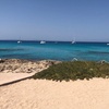 Image 11: Excursión a Formentera desde Ibiza con Transfer y Playas