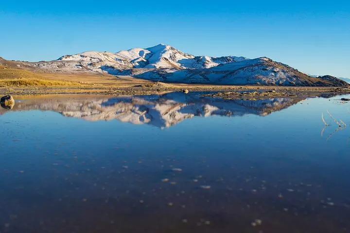 Great Salt Lake Wildlife Experience