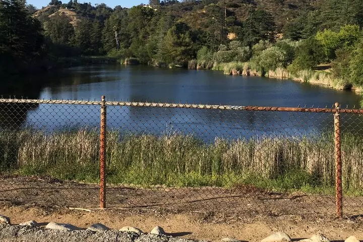 Private Full Day Los Angeles Tour with a Historian and Naturalist
