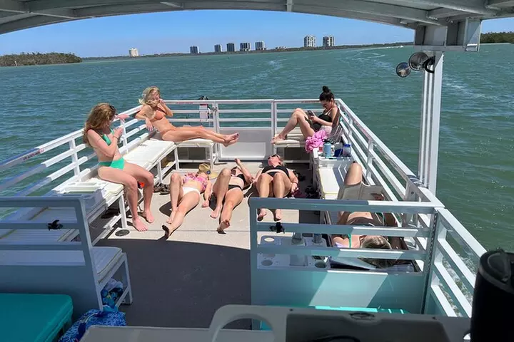 2 HR Dolphin Tour for 7 people