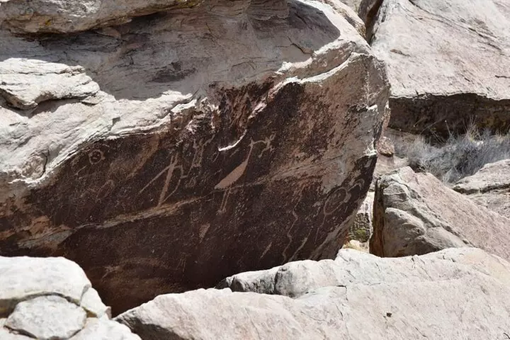 Petrified Forest National Park Self-Guided Driving Audio Tour