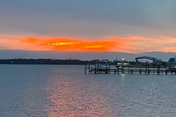 Private 2-Hour Dolphin and Sightseeing Tour