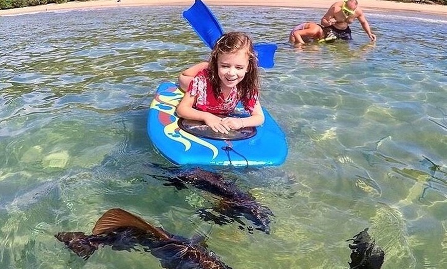 Image 14: Aquascene Magnetic Island Discovery Tour