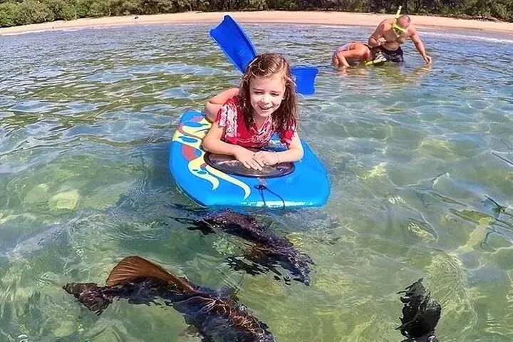 Magnetic Island Discovery Tour with Snorkeling & Paddle Boarding