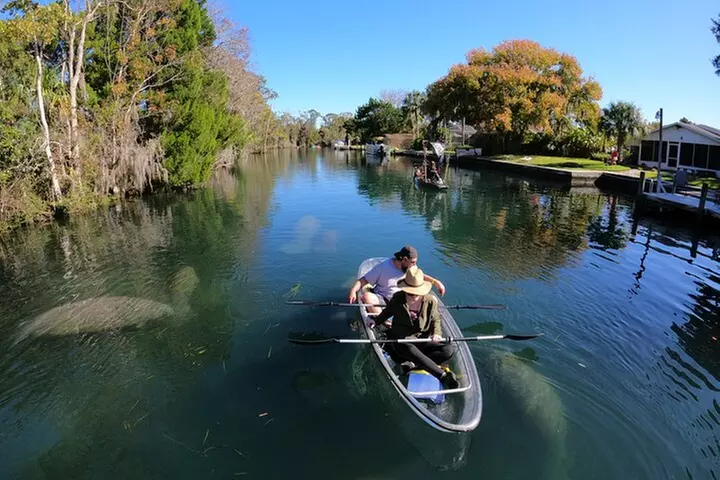 Clear Kayak Manatee Ecotour of Crystal River