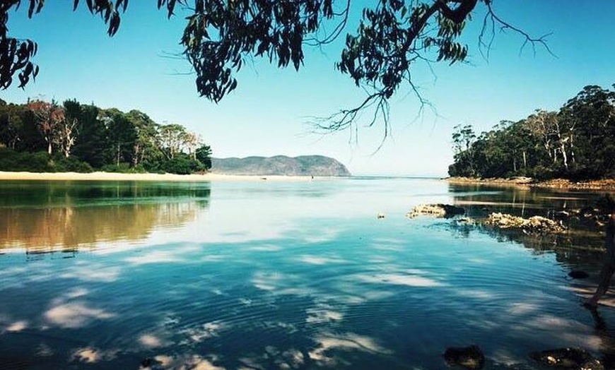 Image 2: Full-Day Guided Bruny Island Tour from Hobart