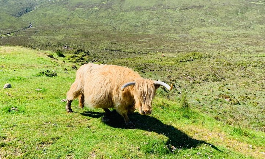 Image 3: Isle of Skye Bespoke Luxury Tour from Inverness