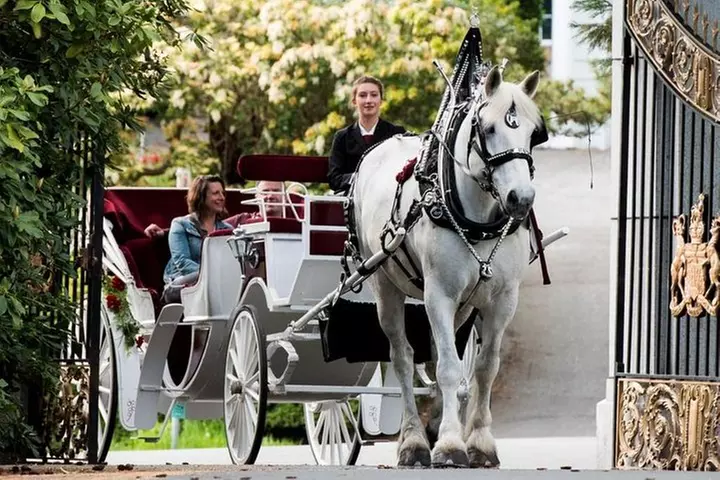 Premier Horse-Drawn Carriage Tour of Victoria - Primary Image