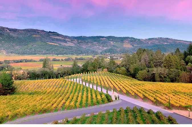 Wine tour - Primary Image
