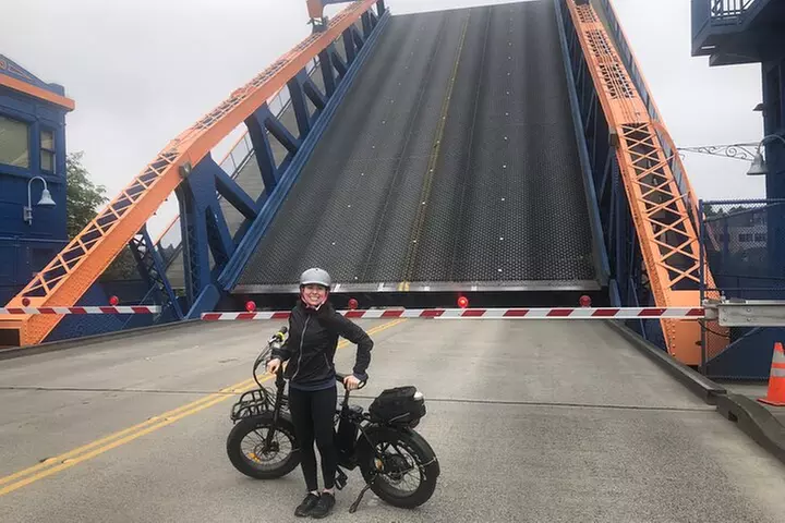 3 Hours Electric Bike Tour of Seattle's Waterways, Nature and Neigh...