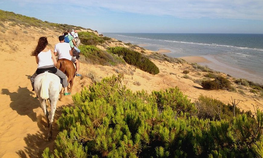 Image 1: Excursión de un día a caballo o en 4x4 en el Parque Nacional de Doñana