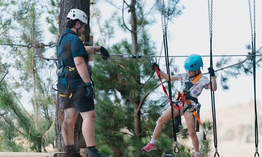 Image 5: Guided Tree Ropes Course Experience in Majura Pines