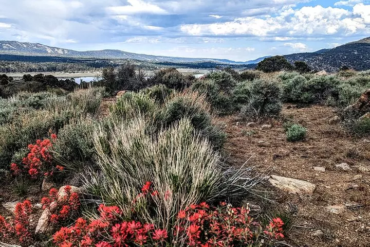 Family-Friendly Nature Hike around the Big Bear Valley