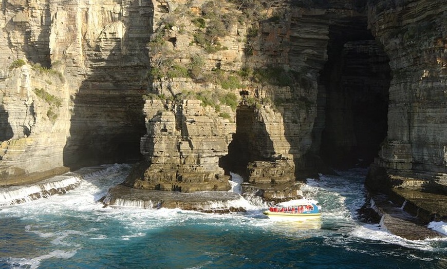 Image 7: Tasman Island Cruises Day Tour from Hobart