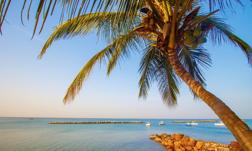 Image 20: ✈ SÉNÉGAL | Dakar - Au Pays de la Teranga - Privatif