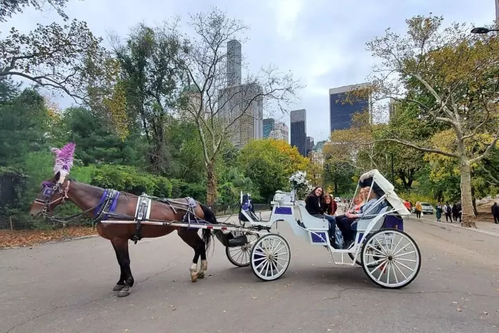 Private NYC Central Park Horse Carriage Ride (Guided) Since 1965™