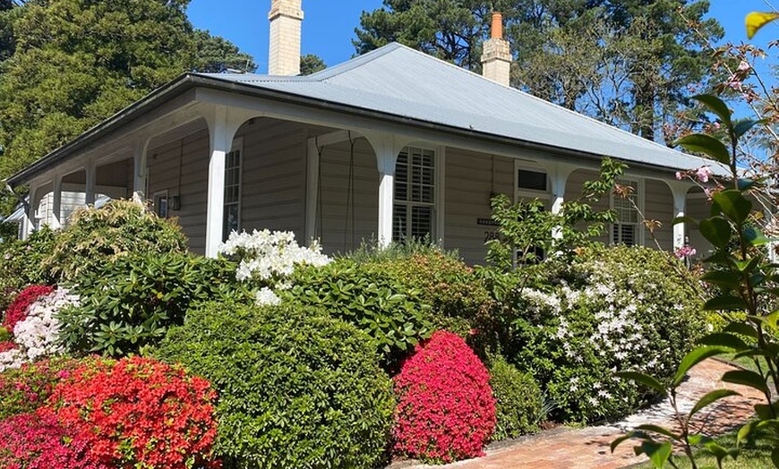 Image 3: Sydney: PRIVATE Blue Mountains, Wildlife & Cruise Luxe Tour (10h)