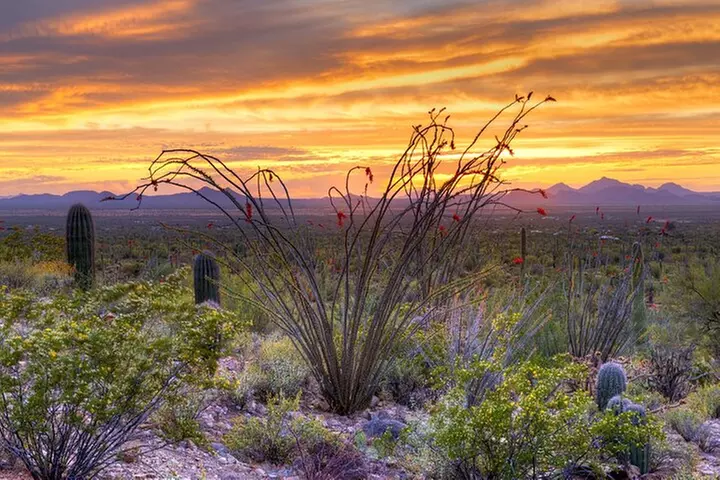 Saguaro NP and Mt. Lemmon Self Guided Driving Audio Tour Bundle