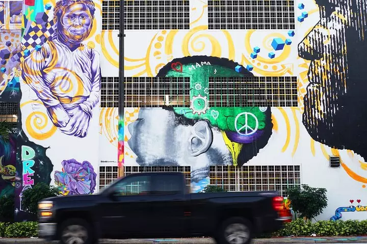 Explore Wynwood with local artist