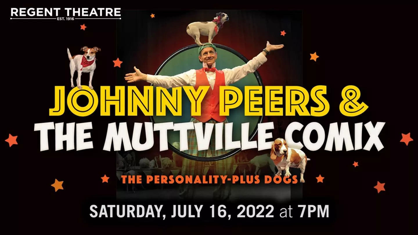 The Muttville Comix - The Personality Plus Pups with Johnny Peers - Saturday, Jul 16, 2022 / 7:00pm - Primary Image