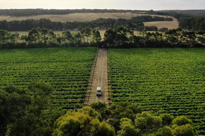 Hidden Gems: Boutique Full-Day Wine, Farm & Lunch Tour