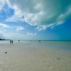 Image 27: Holbox Day Tour from Cancún: Punta Mosquito & Lunch Experience