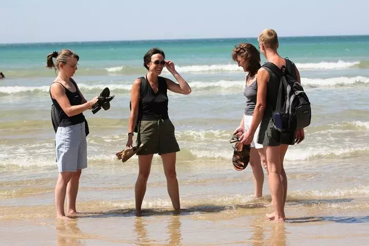 Great Ocean Road Full-Day Sunset Eco Tour from Melbourne