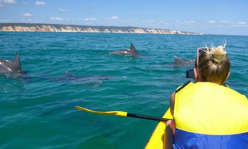 Image 13: Epic Rainbow Beach Dolphin Kayak and 4WD Adventure Tour