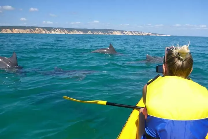 Rainbow Beach: Dolphin & Wildlife Ocean Kayak & Beach 4WD Tour