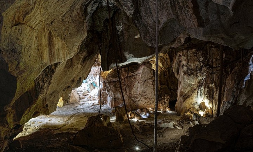 Image 7: Capricorn Caves Cathedral Cave Tour