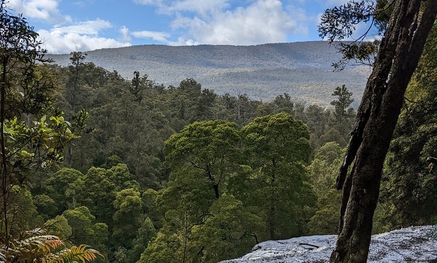 Image 18: Mt Field, Mt Wellington & Tassie Devils Active Tour from Hobart