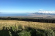 Maui Haleakala Sunrise Downhill Bike Tour with Mountain Riders Rated #1 - Second Medium