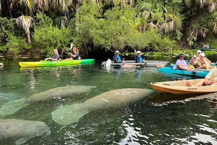 Silver Springs Self Guided Clear Kayak Rentals - Second Medium