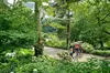 Central Park Walking Tour