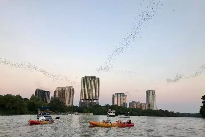 Congress Avenue Bat Bridge Kayak Tour in Austin
