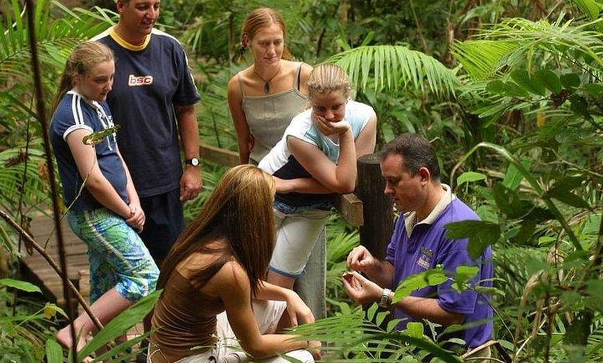 Image 7: Daintree Discovery Centre Family Pass Ticket