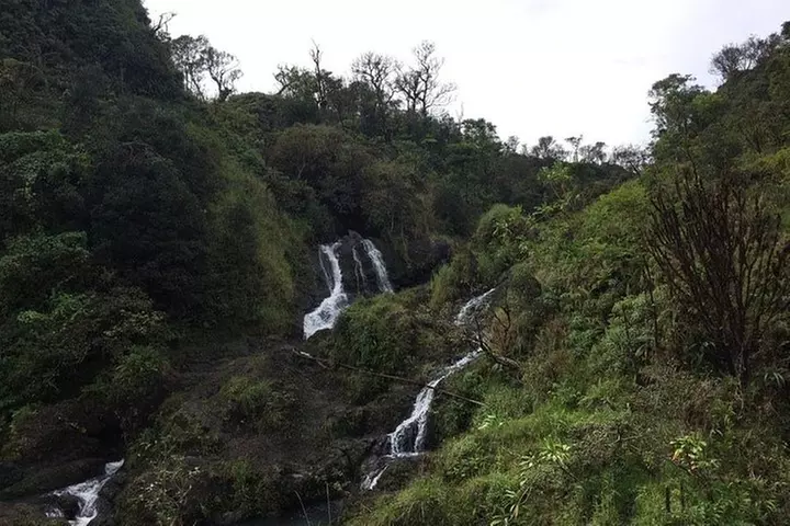 Maui Tour : Road to Hana Day Trip from Lahaina with Pick-up