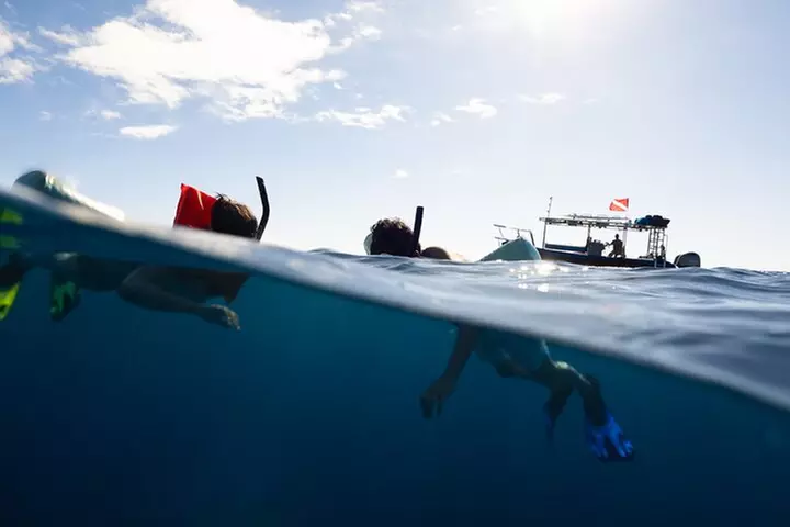 Private Kealakekua Bay Snorkel with Dolphin Watch