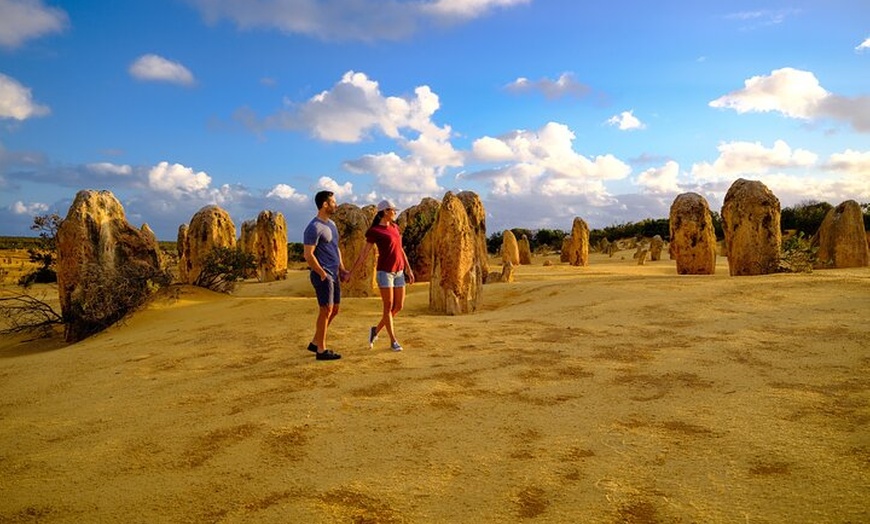 Image 15: 2 Day Pink Lake Tour in Pinnacles and Sand Dunes Japanese Guide