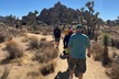 Private Sightseeing Adventure Tour of Joshua Tree Park (Max 10) - Second Medium