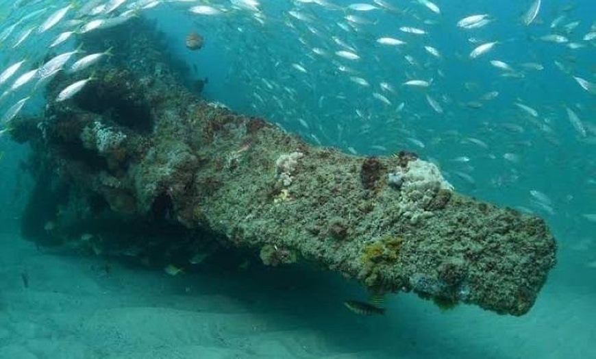 Image 3: Dive the Scottish Prince Shipwreck