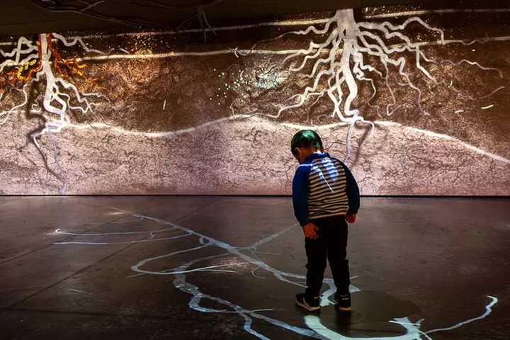 Billet d'Entrée à Pressoria au coeur du Champagne avec Dégustation