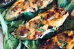 5% Cash Back at Fuzzy Cactus - Second Medium