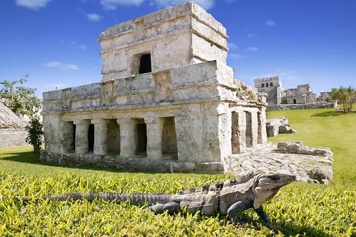 Magical adventure through Tulum. Cenotes, ruins and sculpture tour. - Primary Image