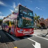 Image 9: Tour en autobús turístico por Santa Cruz de Tenerife